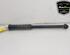 Shock Absorber RENAULT CLIO V (B7_)