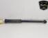 Shock Absorber RENAULT CLIO V (B7_)