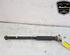 Shock Absorber FORD FIESTA VI (CB1, CCN)