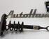 Shock Absorber AUDI A4 (8EC, B7), AUDI A4 Avant (8E5, B6), AUDI A4 Avant (8ED, B7)