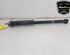 Shock Absorber RENAULT CLIO V (B7_)