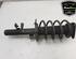 Shock Absorber FORD FOCUS III Turnier, FORD C-MAX II (DXA/CB7, DXA/CEU)