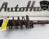 Shock Absorber SKODA FABIA II (542), SKODA FABIA I (6Y2), SKODA FABIA II Combi (545), SKODA ROOMSTER (5J7)