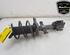 Shock Absorber RENAULT CLIO V (B7_)