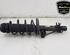 Shock Absorber VW POLO (6R1, 6C1), VW POLO Van (6R), SEAT IBIZA IV (6J5, 6P1), SEAT IBIZA IV SC (6J1, 6P5)