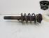 Shock Absorber AUDI TT (8J3)