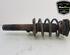 Shock Absorber AUDI TT (8J3)