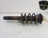 Shock Absorber AUDI TT (8J3)