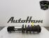 Shock Absorber FIAT 500X (334_)