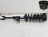 Shock Absorber BMW 5 Touring (G31)