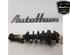 Shock Absorber MINI MINI (R56)