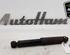 Shock Absorber FIAT PANDA (169_)