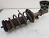 Shock Absorber CHEVROLET AVEO Hatchback (T300)