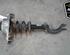 Shock Absorber AUDI A4 Avant (8K5, B8), AUDI A5 Sportback (8TA)