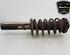 Shock Absorber VW CADDY III MPV (2KB, 2KJ, 2CB, 2CJ)