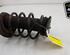 Shock Absorber FORD FOCUS III Turnier, FORD FOCUS III