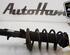 Shock Absorber FORD FOCUS III Turnier, FORD FOCUS III