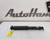 Shock Absorber RENAULT KADJAR (HA_, HL_), NISSAN QASHQAI II SUV (J11, J11_)