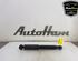 Shock Absorber VW TRANSPORTER VI Van (SGA, SGH, SHA, SHH)