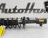 Shock Absorber FORD KA+ (UK, FK)