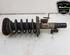 Shock Absorber VOLVO S60 II (134)