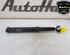 Shock Absorber CITROËN C3 PICASSO (SH_)