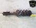 Shock Absorber FORD FIESTA VI (CB1, CCN)