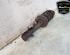 Shock Absorber FORD FIESTA VI (CB1, CCN)