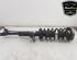 Shock Absorber BMW 5 (F10)