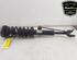 Shock Absorber BMW 5 (F10)