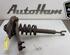 Shock Absorber AUDI A6 (4F2, C6)