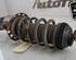 Shock Absorber OPEL MERIVA B MPV (S10)