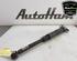 Shock Absorber VW POLO (AW1, BZ1)