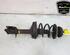 Shock Absorber RENAULT TWINGO II (CN0_)