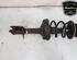 Shock Absorber RENAULT TWINGO II (CN0_)