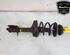 Shock Absorber RENAULT TWINGO II (CN0_)