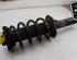 Shock Absorber SKODA SUPERB II Estate (3T5), VW PASSAT Variant (3C5), VW PASSAT (362)