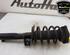 Shock Absorber AUDI A3 (8P1), AUDI A3 Sportback (8PA)