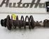 Shock Absorber KIA PICANTO (SA)