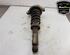 Shock Absorber AUDI Q7 (4LB)