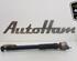 Shock Absorber MERCEDES-BENZ B-CLASS (W246, W242)