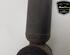 Shock Absorber RENAULT CLIO V (B7_)