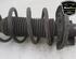 Shock Absorber SKODA RAPID (NH3, NK3, NK6), SKODA FABIA III Estate (NJ5), SKODA RAPID Spaceback (NH1)