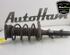 Shock Absorber RENAULT KADJAR (HA_, HL_)