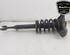 Shock Absorber AUDI A4 Avant (8E5, B6), AUDI A4 Avant (8ED, B7)