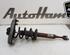 Shock Absorber AUDI A4 Avant (8ED, B7)