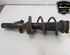 Shock Absorber FORD TRANSIT Van (FA_ _), FORD TRANSIT Bus (FD_ _, FB_ _, FS_ _, FZ_ _, FC_ _)