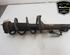 Shock Absorber FORD TRANSIT Van (FA_ _), FORD TRANSIT Bus (FD_ _, FB_ _, FS_ _, FZ_ _, FC_ _)