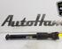 Shock Absorber BMW 3 Touring (F31)