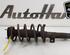 Shock Absorber FORD TRANSIT CONNECT (P65_, P70_, P80_), FORD TRANSIT CUSTOM V362 Van (FY, FZ)